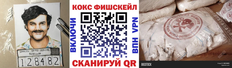 Cocaine FishScale  Светлогорск 