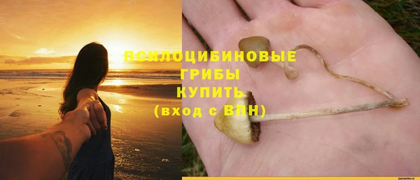 индика Заволжье