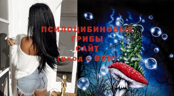 прущие грибы Яранск