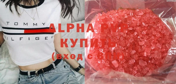 индика Заволжье