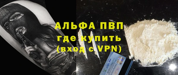 PSILOCYBIN Янаул