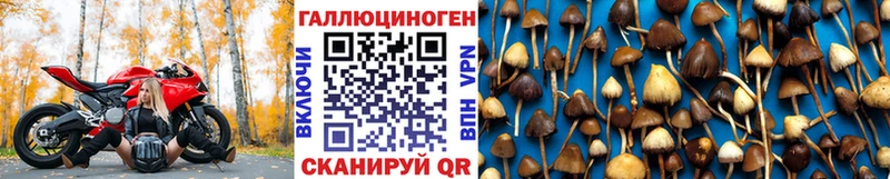 Галлюциногенные грибы прущие грибы  Светлогорск 